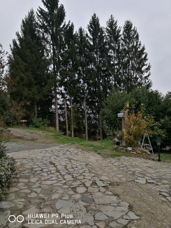 Agriturismo Davide Bossolasco Екстериор снимка